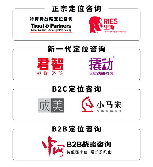 戰(zhàn)略咨詢與技術開發(fā)雙輪驅(qū)動 解鎖企業(yè)高效決策實戰(zhàn)路徑